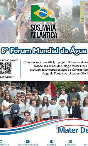 Banner Banner